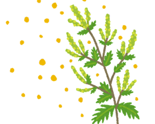 plant_butakusa_kafun