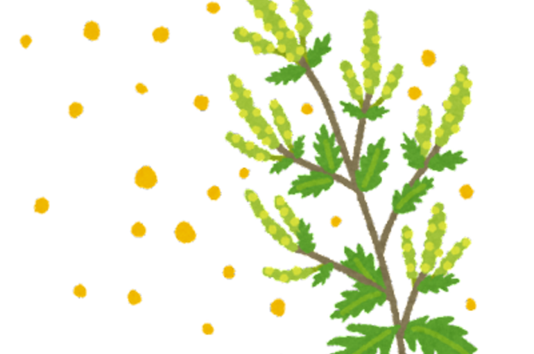 plant_butakusa_kafun