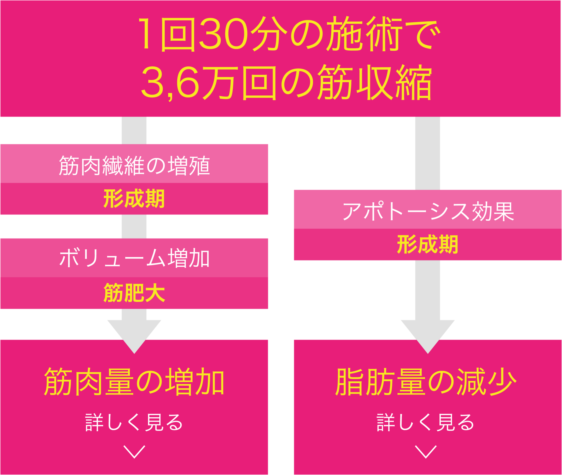 レイヤー 1@2x